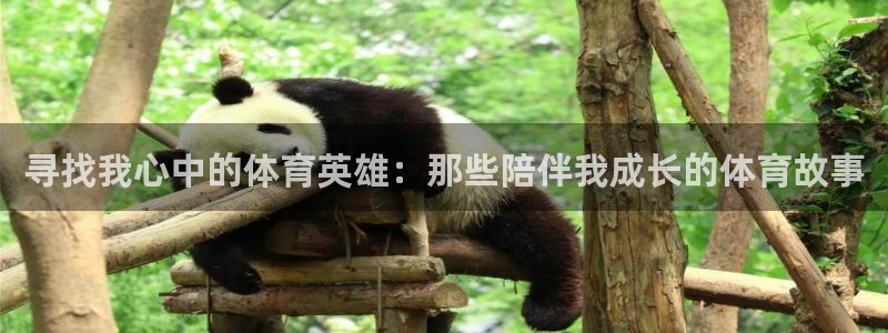 betway西汉姆联：寻找我心中的体育英雄：那些陪伴我成长的体育故事