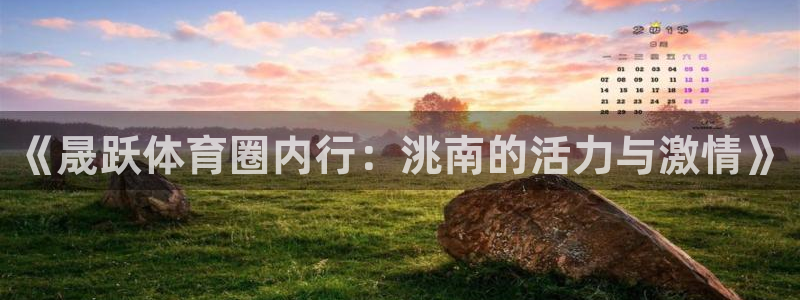 betway西汉姆官网：《晟跃体育圈内行：洮南的活力与激情》