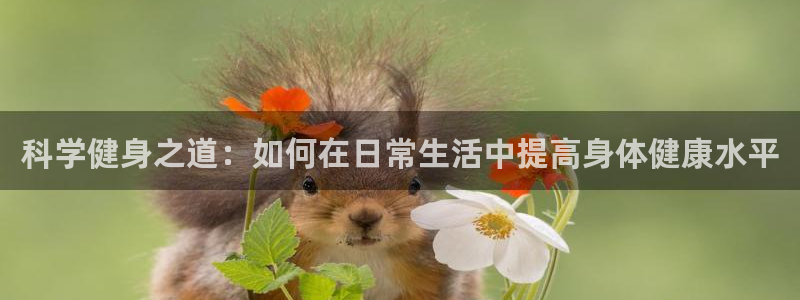 betway西汉姆联：科学健身之道：如何在日常生活中提高身体健康水平