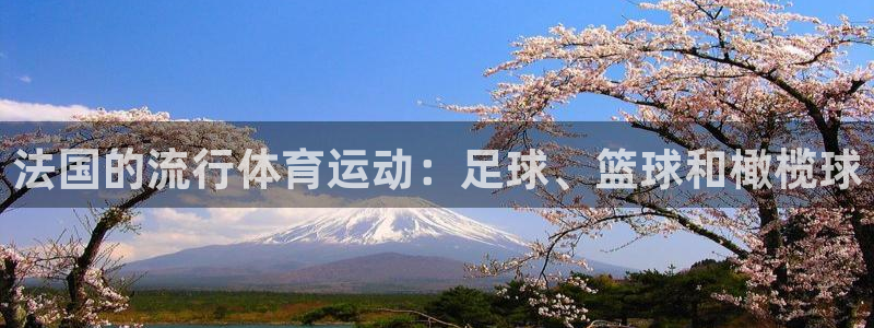 必威betway西汉姆联：法国的流行体育运动：足球、篮球和橄榄球