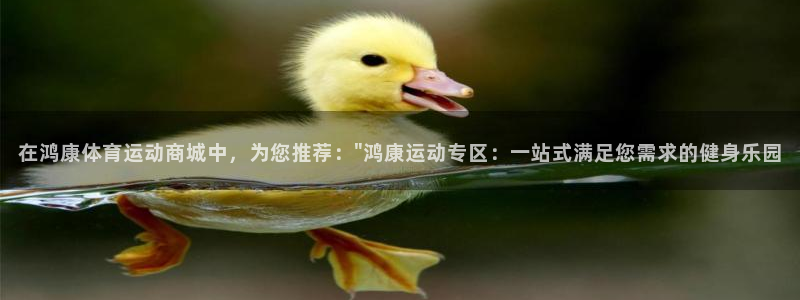 betway西汉姆联官网：在鸿康体育运动商城中，为您推荐：\