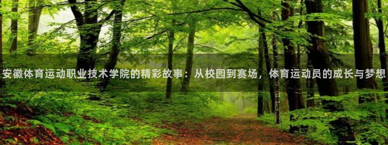 betway西汉姆联官网：安徽体育运动职业技术学院的精彩故事：从校园到赛场，体育运动员的成长与梦想