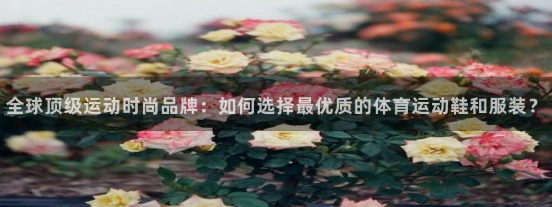 betway西汉姆联