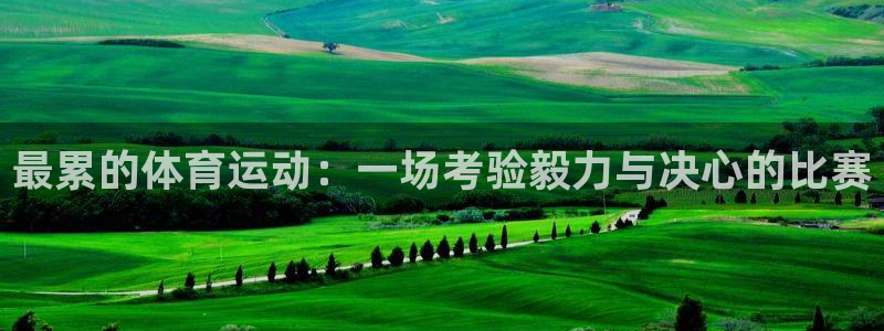 betway西汉姆联