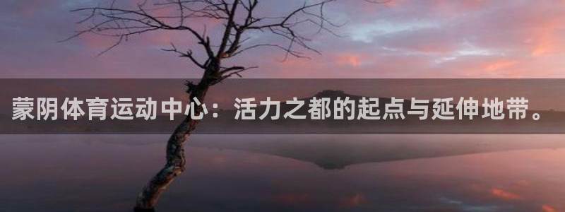 betway西汉姆联官网