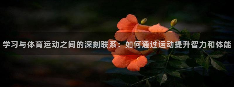 betway西汉姆联：学习与体育运动之间的深刻联系：如何通过运动提升智力和体能
